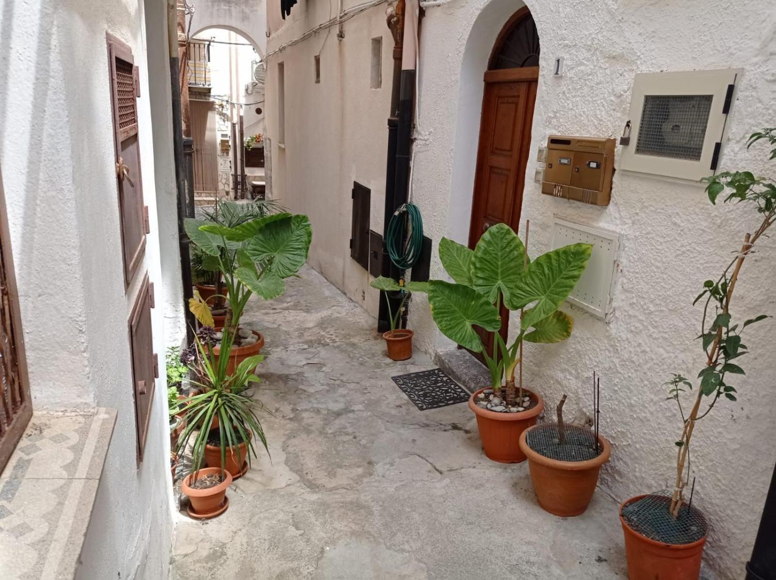 Cortile Maggiore Home Cefalu Bagian luar foto